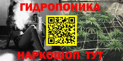a pvp Магадан