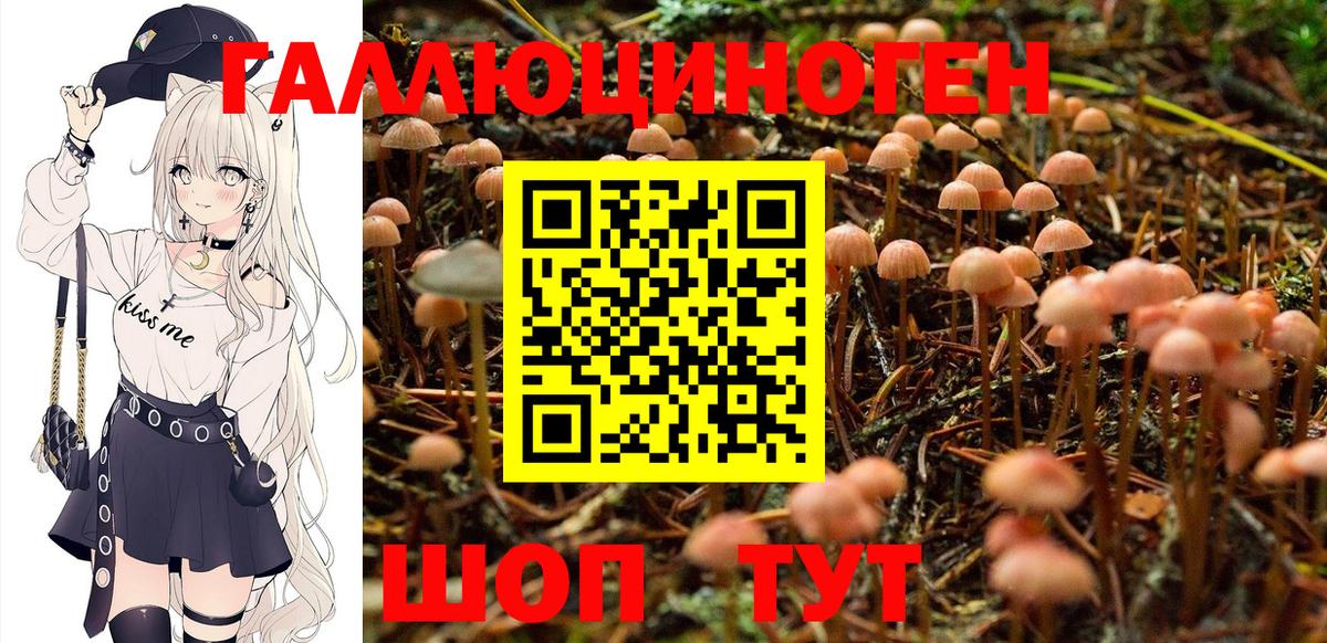 Псилоцибиновые грибы мухоморы Геленджик
