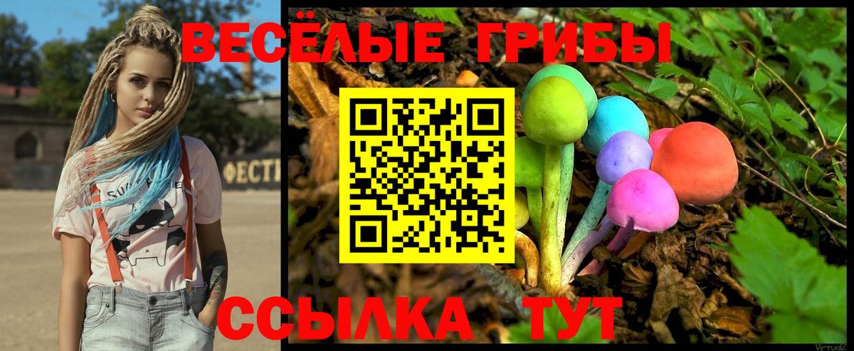 Галлюциногенные грибы мухоморы  Вход с VPN  закладки  Галлюциногенные грибы Psilocybine cubensis  Геленджик 