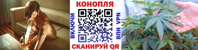 Шишки марихуана OG Kush  Купить закладки  Геленджик 